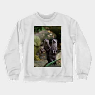 Goo'day We're Otters Crewneck Sweatshirt